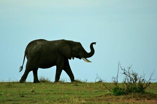 Eco trail tours and safaris
