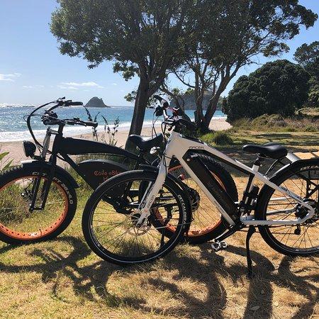 Cove eBike Hire
