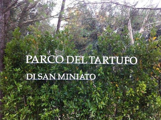 Parco Del Tartufo Di San Miniato