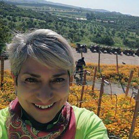 Moto Tour Valle de Guadalupe