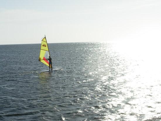Windsurfing School & Paddle Tennis