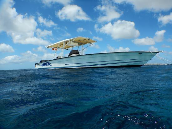 Vitamin Sea Bonaire