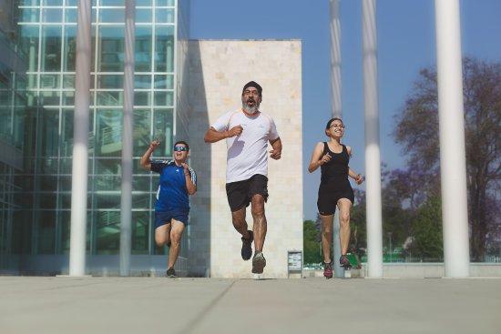 Go Running Tours