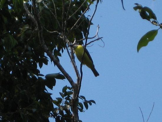 Dr. Alfredo Barrera Marin Botanical Garden