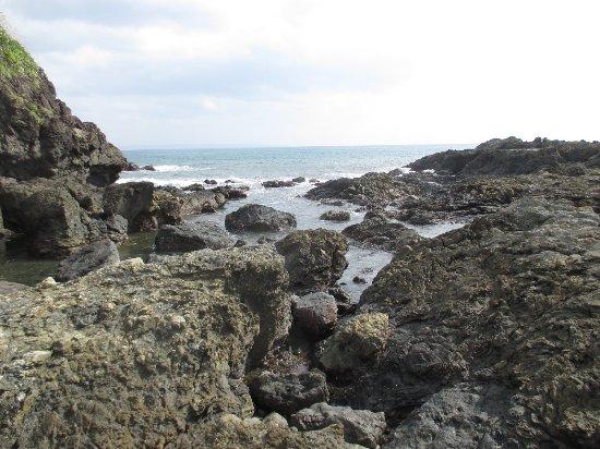 Tashiro Coast