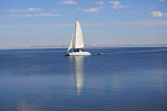 Sahara Sailing