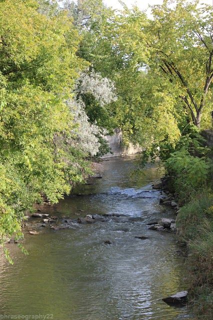 Mabel Davis Conservation Area