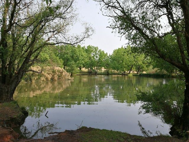 Delta Park