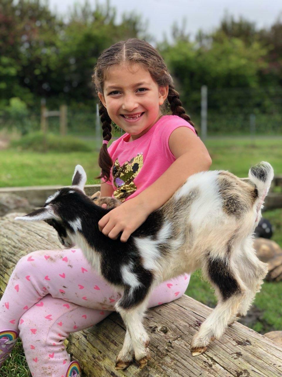 The Lili House Farm