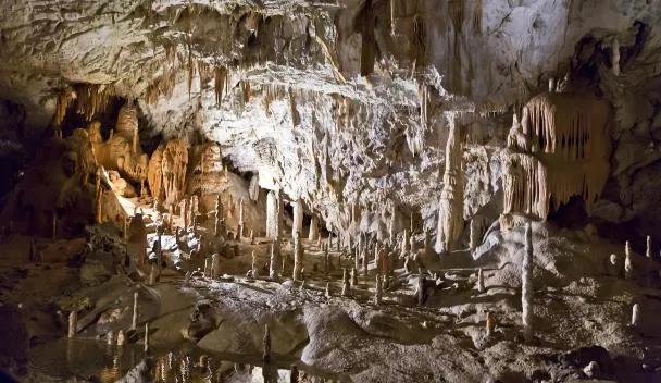 Postojna Cave