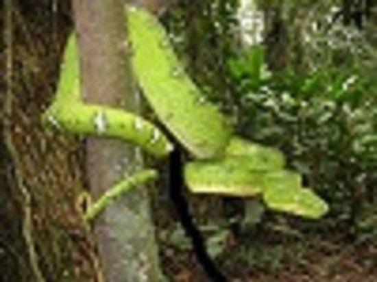 Reserva Natural Tanimboca