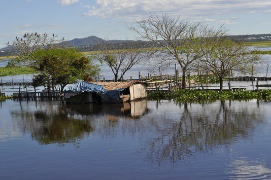 Estação Natureza Pantanal