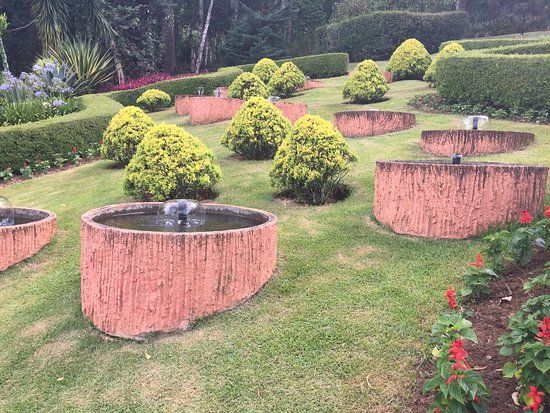 Jardim dos Pinhais Ecco Parque