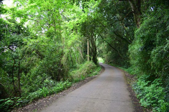 Monumento Natural Cerro Ñielol