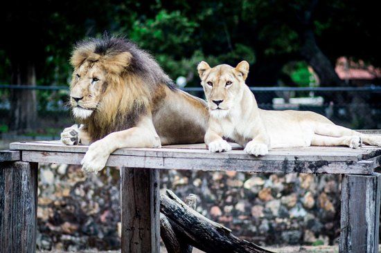 Parque Zoobotanico de Teresina