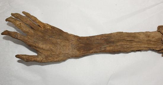 Museu Estadual De Rondônia