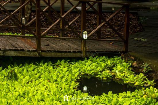 Archaeology and Ethnography Museum