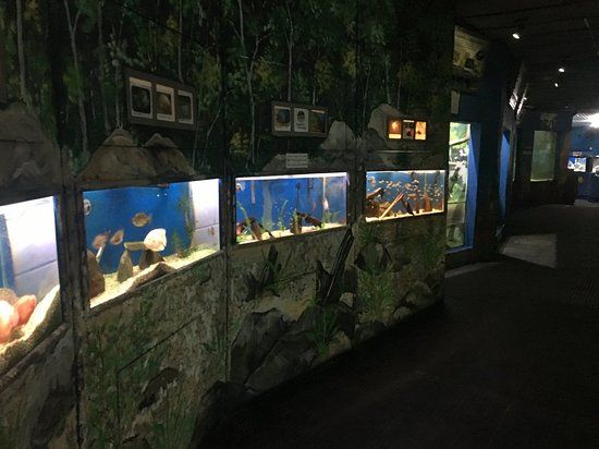Peruibe Aquarium