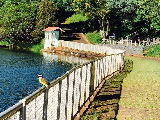 Parque Alfredo Nyffler