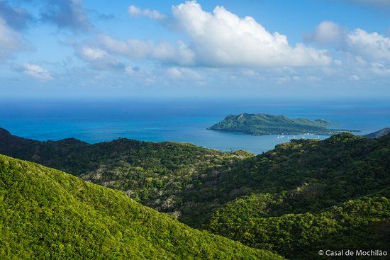 Lomas de Providencia Waldreservat