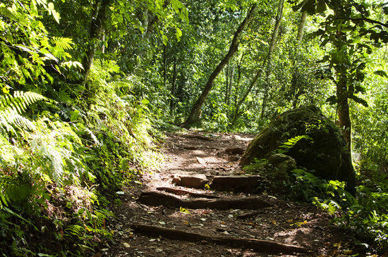 Scientific Monument Moises Santiago Bertoni