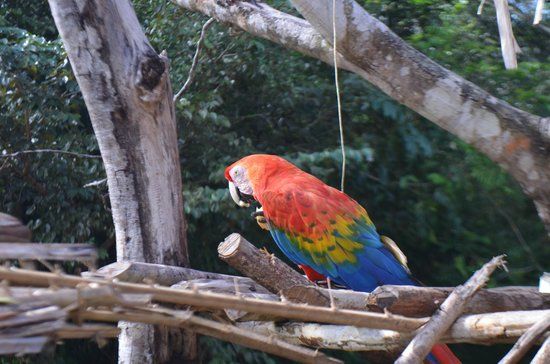 ZooFIT - Zoológico de Santarém