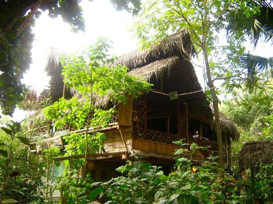 Rio Muchacho Organic Farm