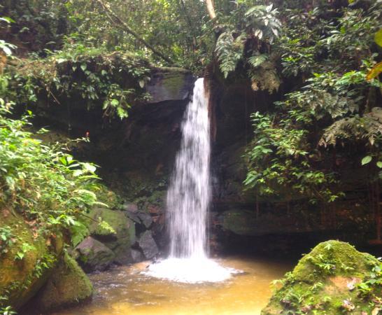 Parque Nacional da Serra do Divisor