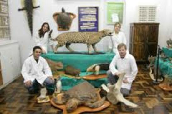 Museu de História Natural da UCPel