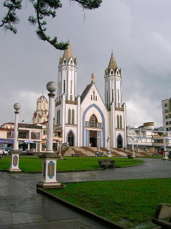 Bolivar O De Las Araucarias Park
