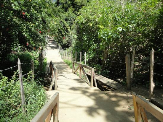 Reserva Florestal do Poco Escuro