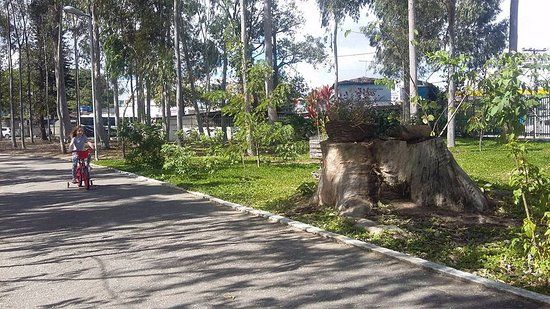 Parque Euclides Dourado