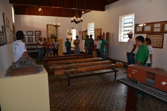 Museum of Eucalyptus
