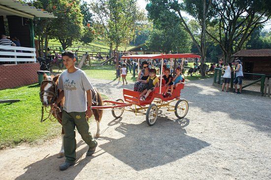 Fazendinha Cia dos Bichos