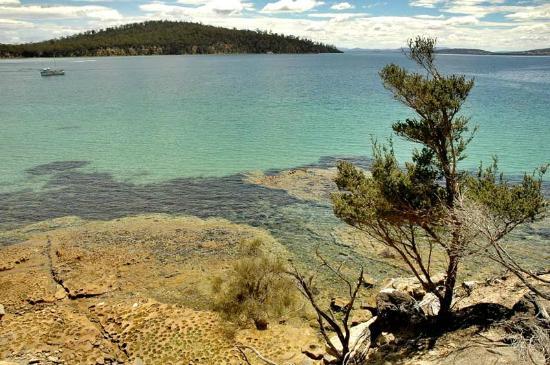 Lime Bay State Reserve