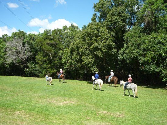 Brooloo Park Eco Retreat & Equine Resort