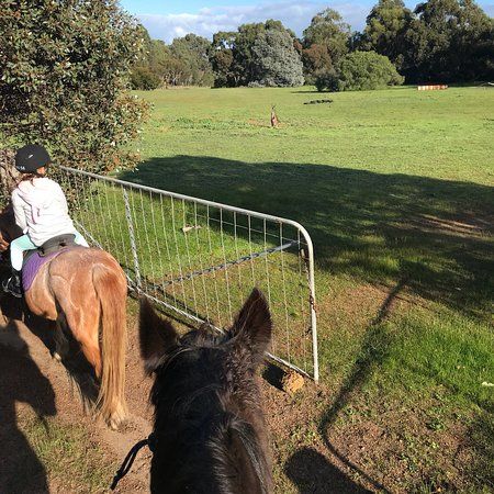 Mirravale Riding School