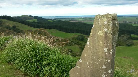 Looking Glass Garden