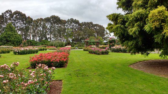 Dugald MacKenzie Rose Gardens