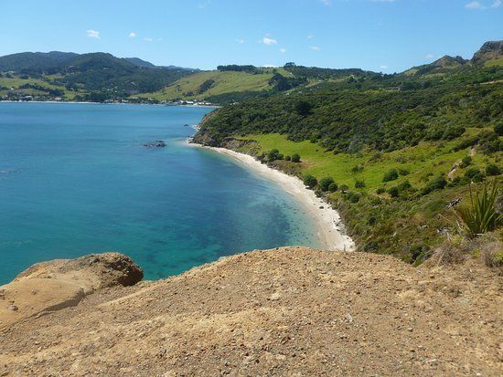 Arai Te Uru Heritage Walk