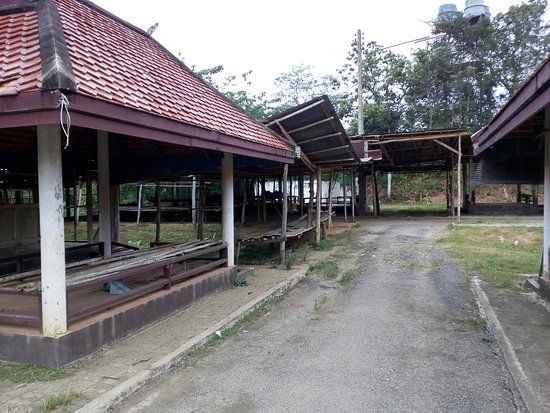 Ban Huai Kon Border Market