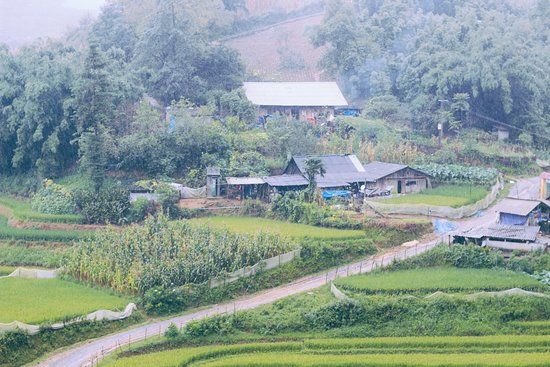 Terraced Rice Fields in Shin Chai Village