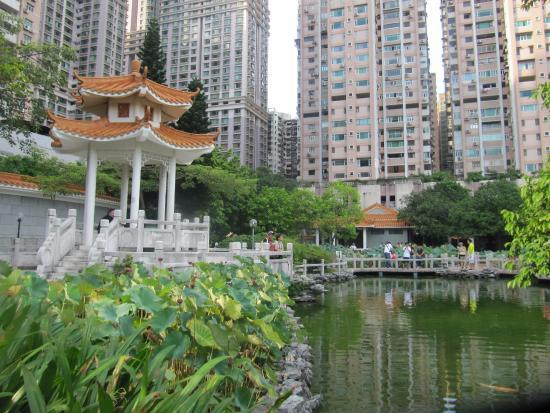 Jardim da Cidade das Flores