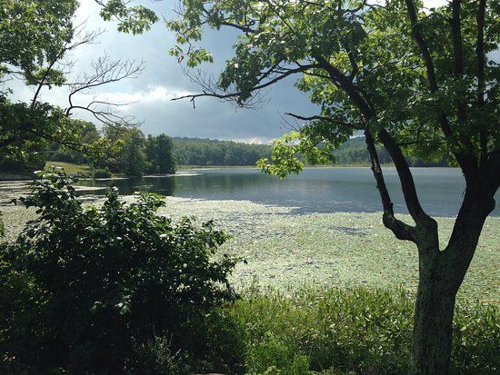 Lake Taghkanic State Park