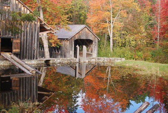 Maine Forest and Logging Museum