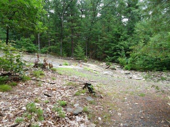 Nash's Dinosaur Track Quarry