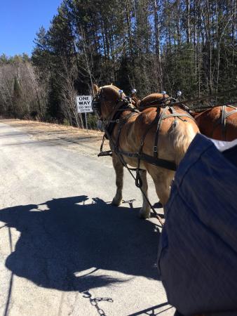 The Rocks Estate and Christmas Tree Farm