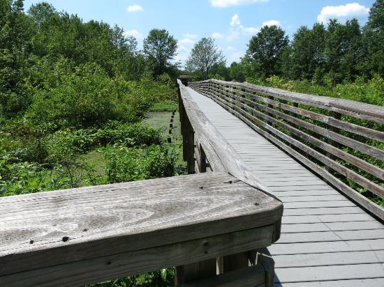 Great Swamp National Wildlife Refuge