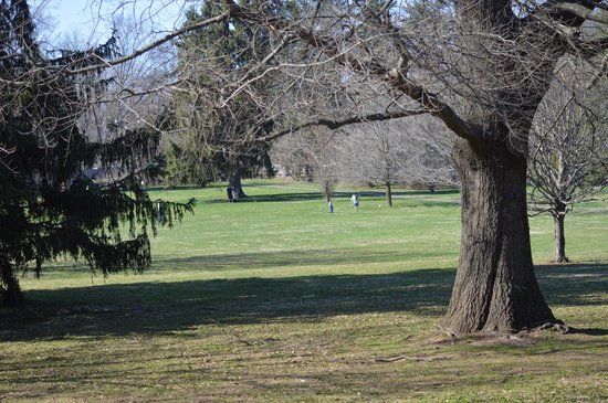 Marquand Park