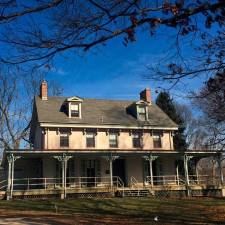 Alice Paul Institute